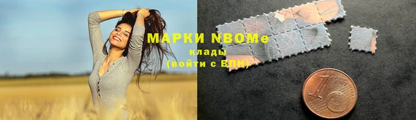 прущие грибы Алексеевка